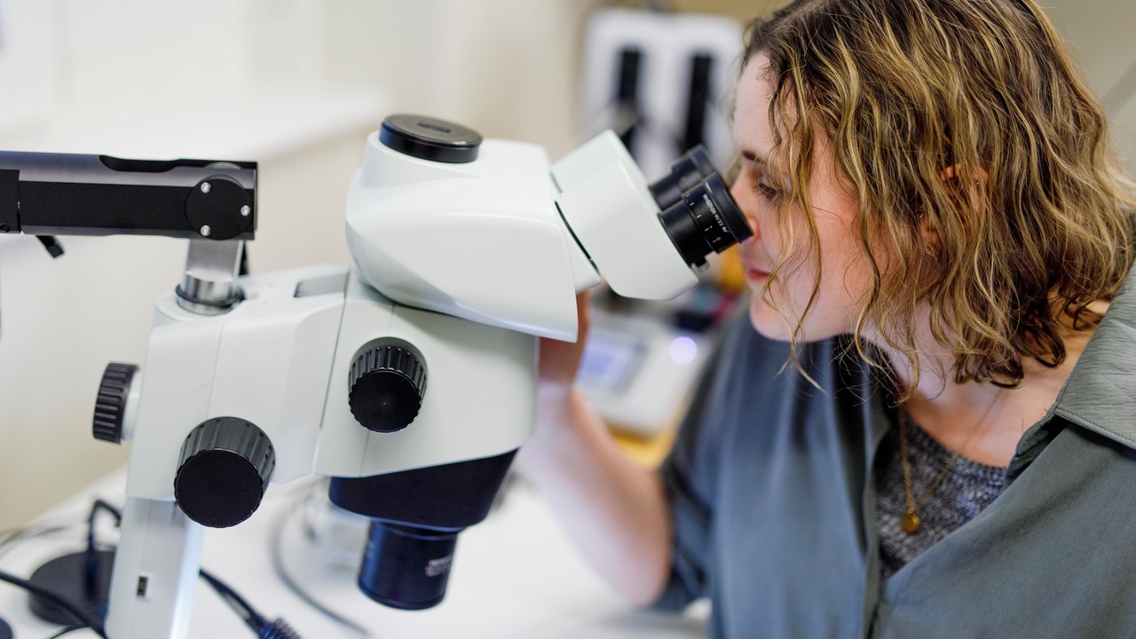 Rachel Feeney tittar i mikroskop