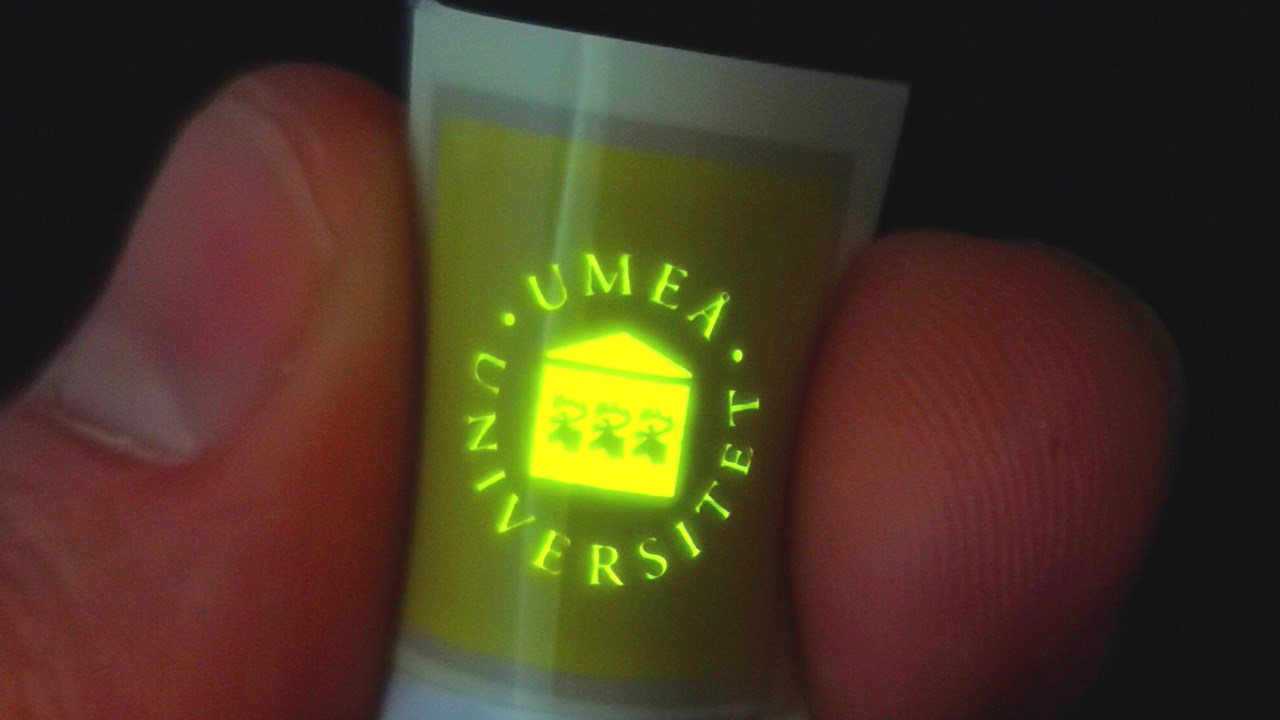 LEC med Universitets logotyp i lysande gulgrönt sken.
