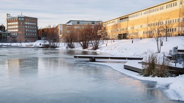 Bild på dammen vinter
