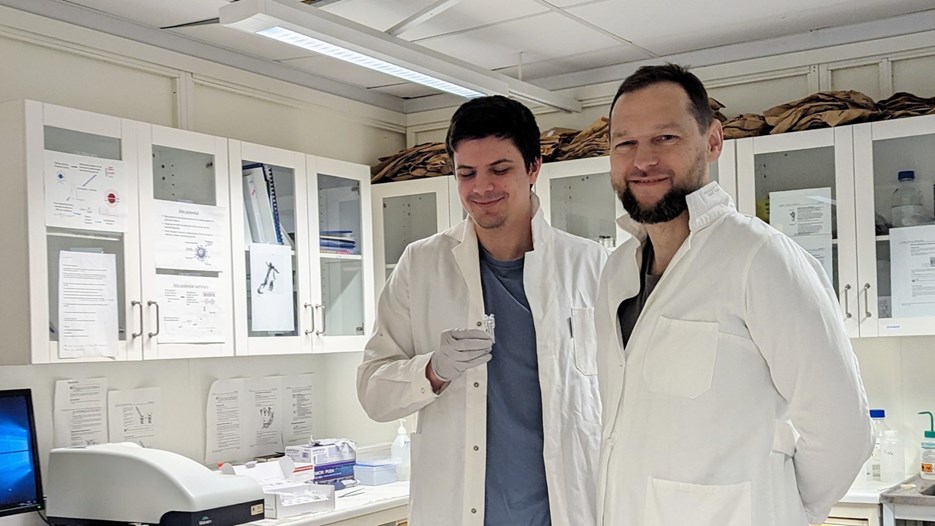 Dr. Volodymyr Berest, Department of Molecular and Medical Biophysics, Karazin Kharkiv National University, Ukraine mentoring his PhD student Daniil Volobuiev