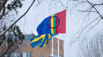 Den samiska flaggan vajar bredvid två svenska på flaggstängerna på campus Umeå.
