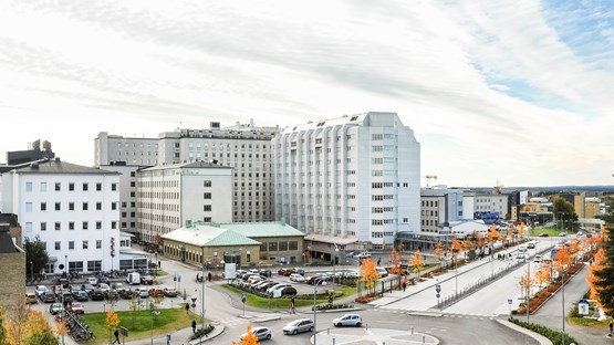 Rondellen mellan NUS och Campus Umeå