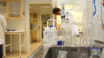 Man at work in the Environmental Archaeology laboratory 