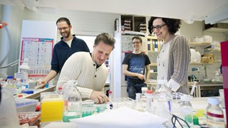 Researchers in the lab environment.