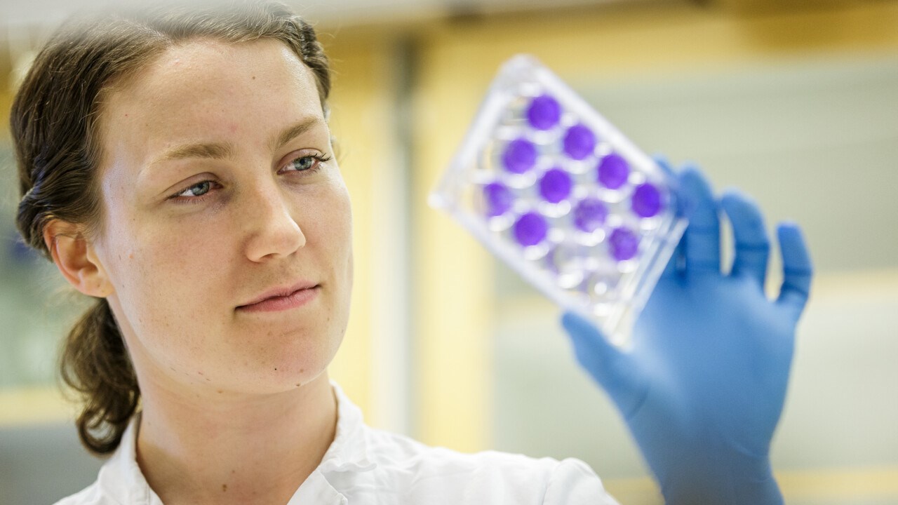 Ebba Rosendal, doktorand vid Institutionen för klinisk mikrobiologi, studerar ett antikroppsprov.