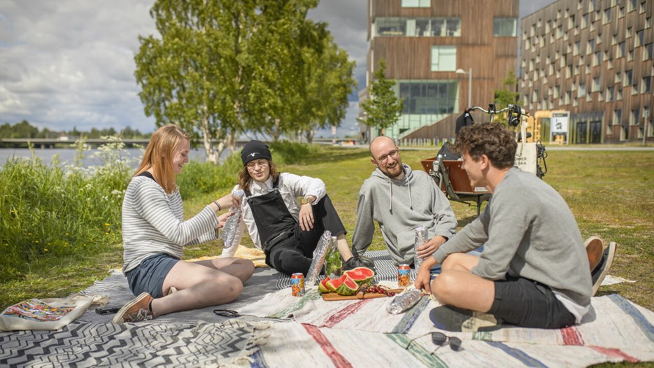 Fyra studenter har picknick i Öbackaparken vid Umeåälven