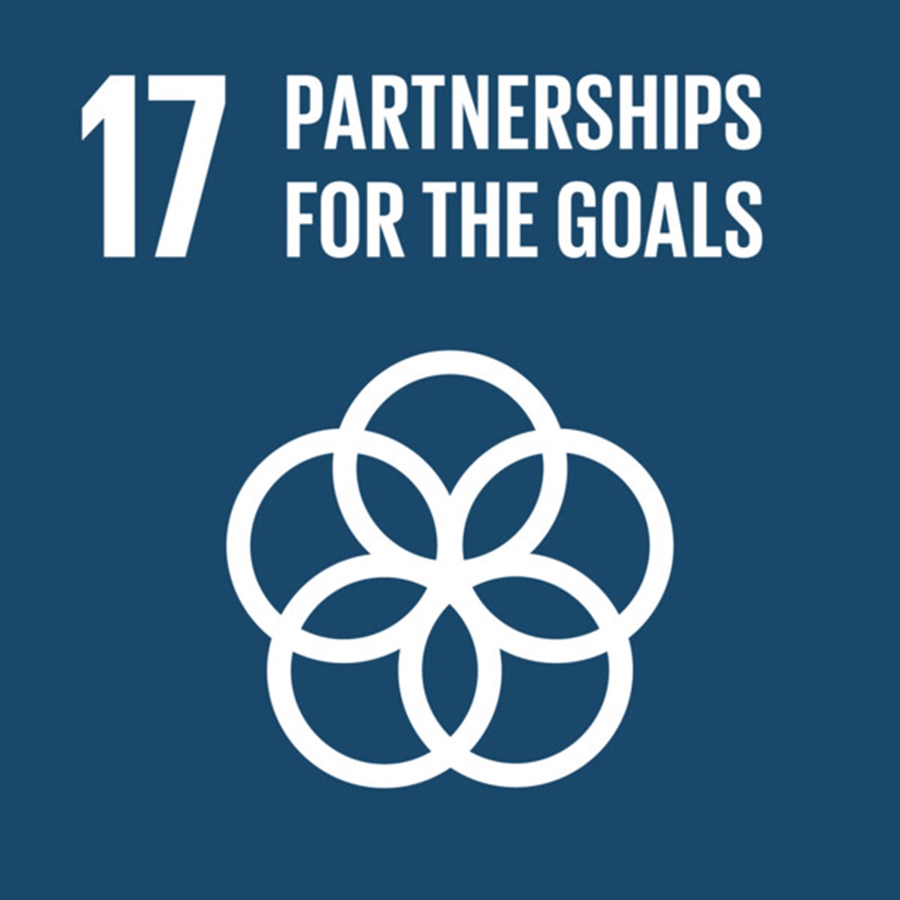 The Global Goals, Goal 17 - Partnerships for the Goals