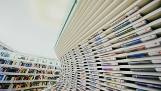 Shelves with publications