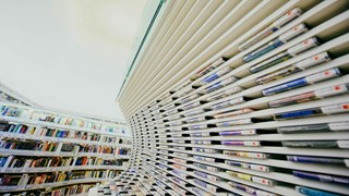Shelves with publications