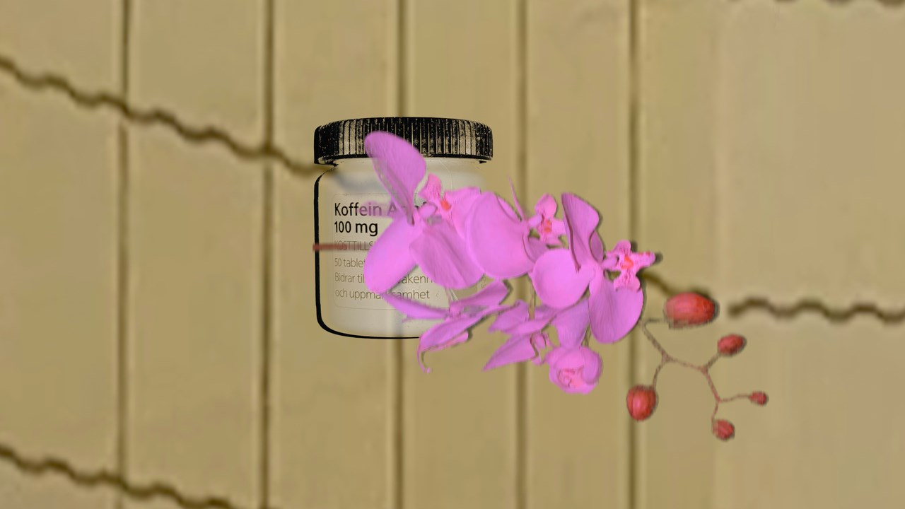 Rosa blomma med medicinburk i bakgrunden