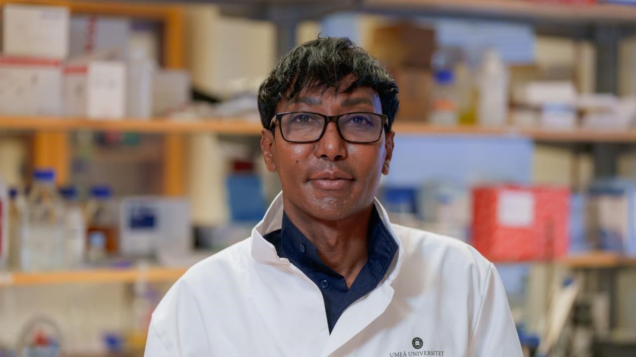 Nazar BeiragPostdoktor vid Institutionen f&ouml;r klinisk mikrobiologi