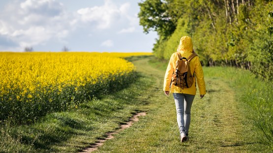 Kvinna i gul regnjacka promenerar intill ett rapsfält.