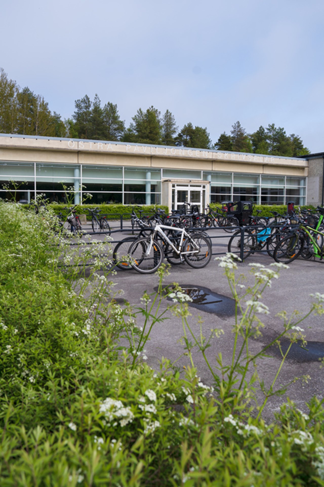 Östra paviljongen, den anrika tentalokalen på Ålidhöjd i Umeå