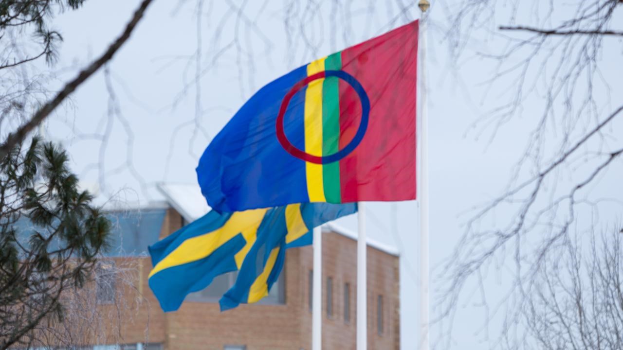 Den samiska flaggan vajar bredvid två svenska på flaggstängerna på campus Umeå.