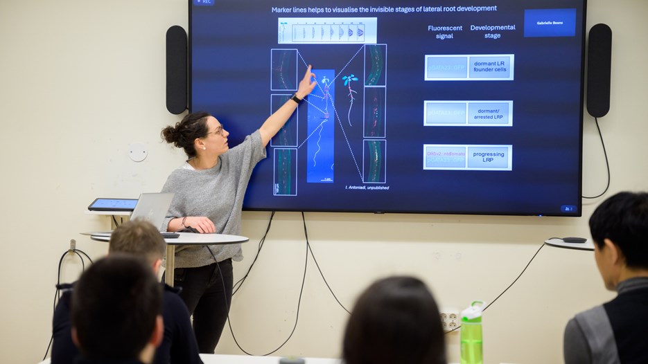 Barbora Parizkova speaks facing a seated crowd , she is pointing to a slide shown on a screen with an image of a plant and its roots shown.