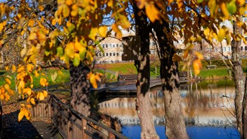 Bild på campus i höstfärger, träd i förgrunden.