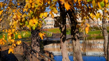 Photo of the university campus in autumn colours, trees in the foreground.