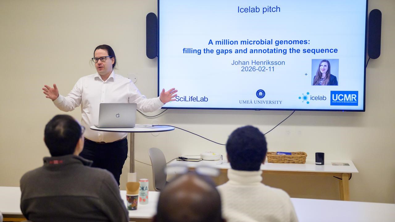 Icelab lunch pitch Johan Henriksson