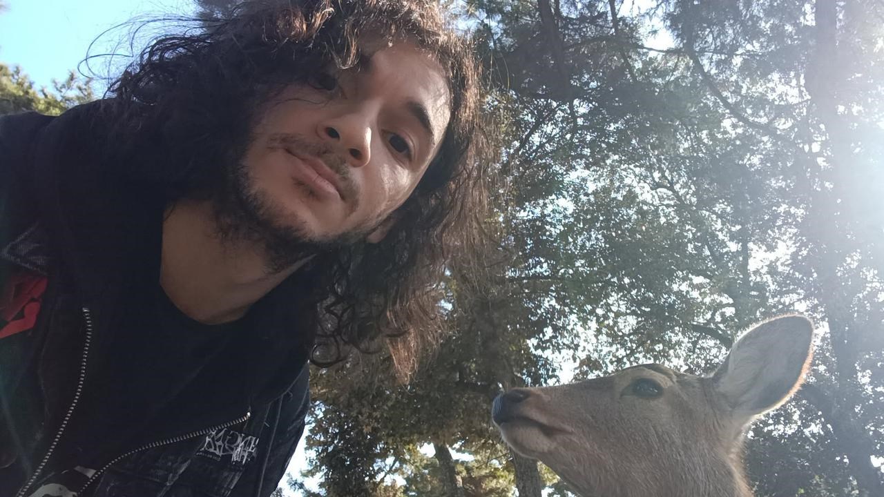 En person tar en selfie i parkmiljö med ett rådjur, vars huvud sticker upp i underkant på bilden. I bakgrunden syns flera lummiga träd som släpper igenom strålande solljus.