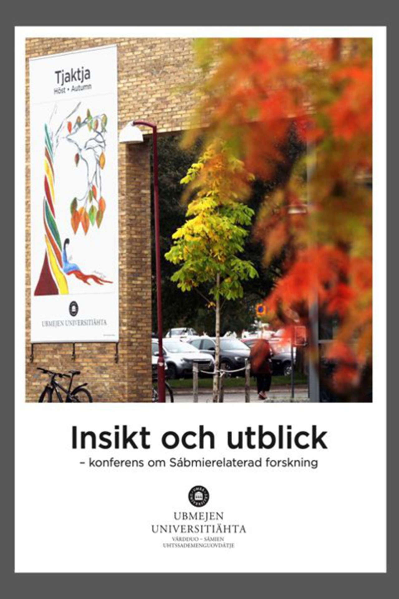 Omslag f&ouml;r publikation