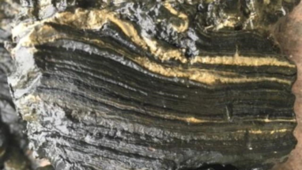 Picture of sediment