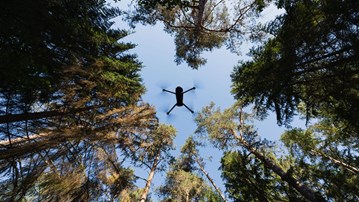 Drönare flyger bland skogstoppar.