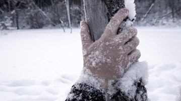Förfrusen hand greppar om stolpe utomhus på vintern.