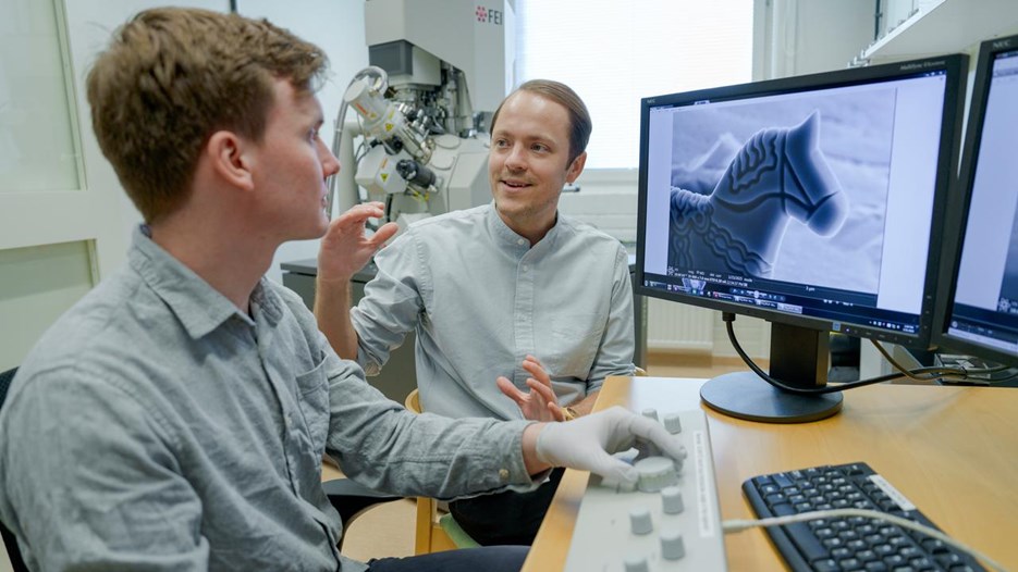 Gå till sida Konst möter nanoteknik – världens minsta dalahäst skapad vid Umeå universitet