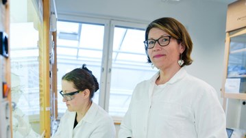 Stina JanssonProfessor vid Kemiska institutionenAnknuten som universitetslektor till Universitetspedagogik och lärandestöd (UPL)