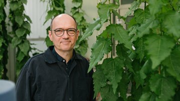 Johannes MessingerProfessor vid Institutionen för fysiologisk botanikEnhet: Umeå Plant Science Centre - UmU