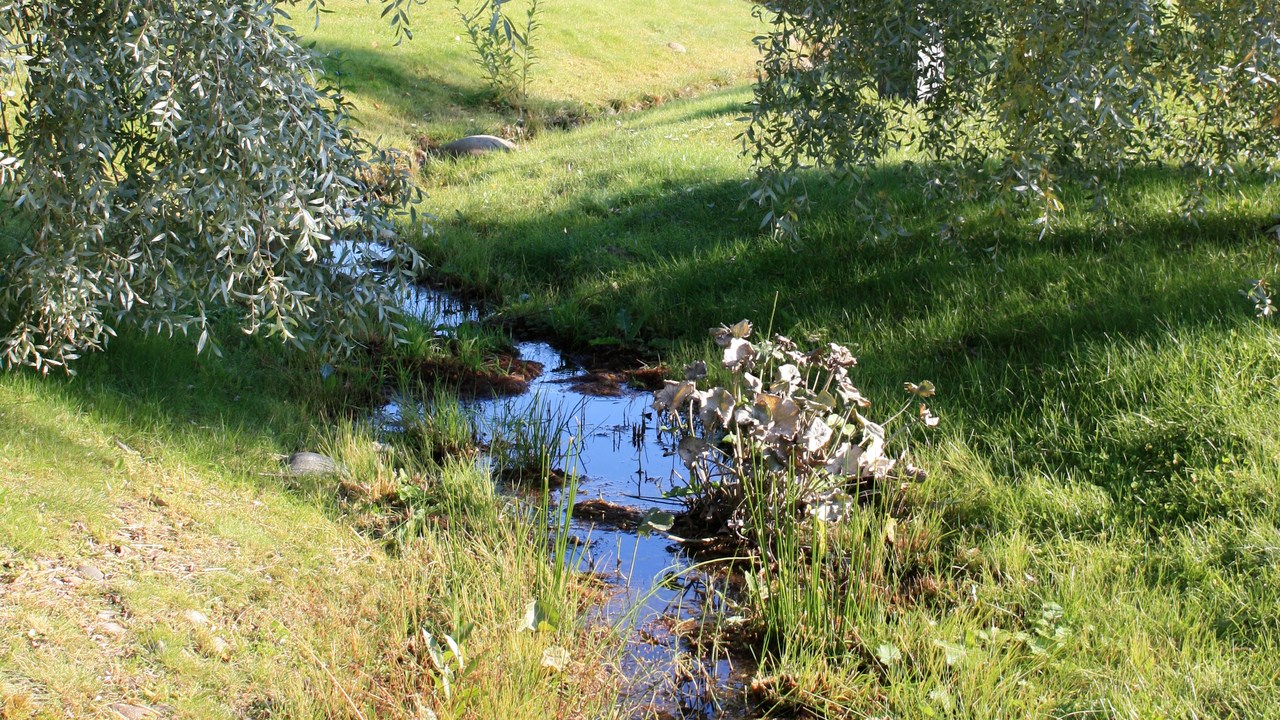 Bild på bäck mellan dammarna