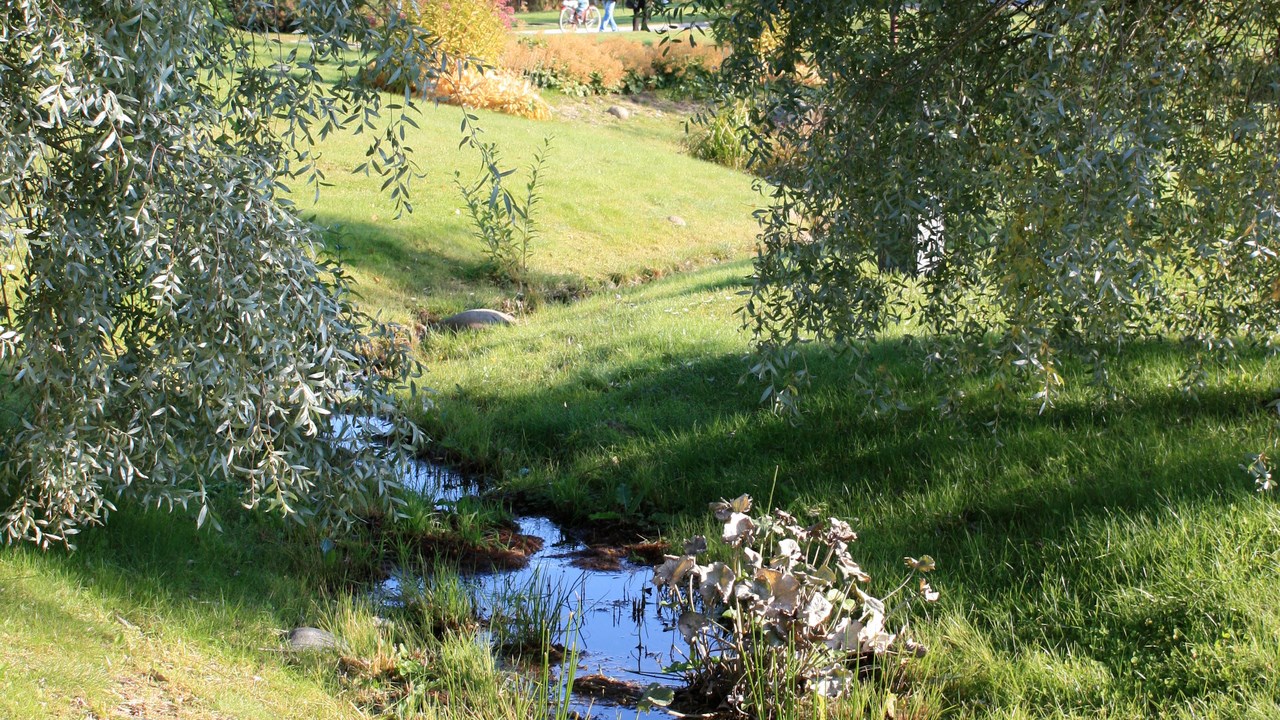 Bild på bäck mellan dammarna