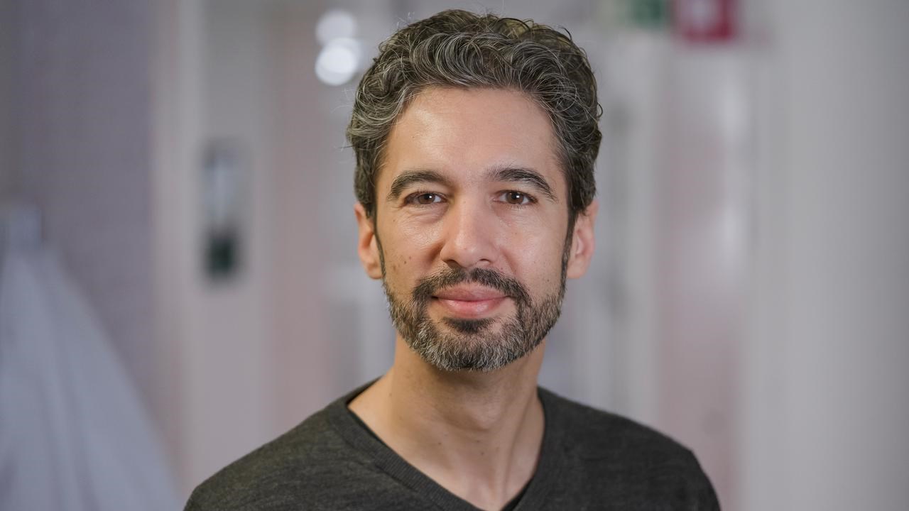 Felipe Cava