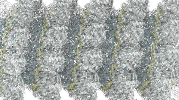 CryoEM image