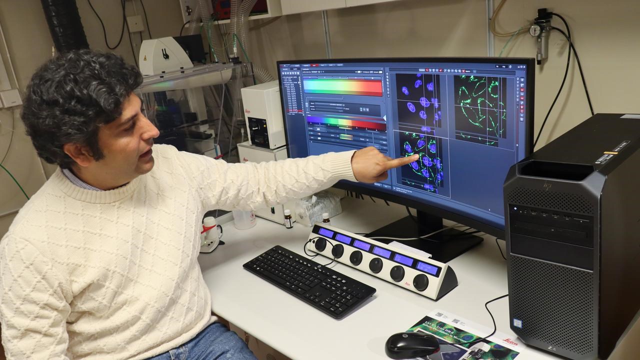 Aftab Nadeem, forskare p&aring; Institutionen f&ouml;r molekyl&auml;rbiologi vid Ume&aring; universitet, vid dator