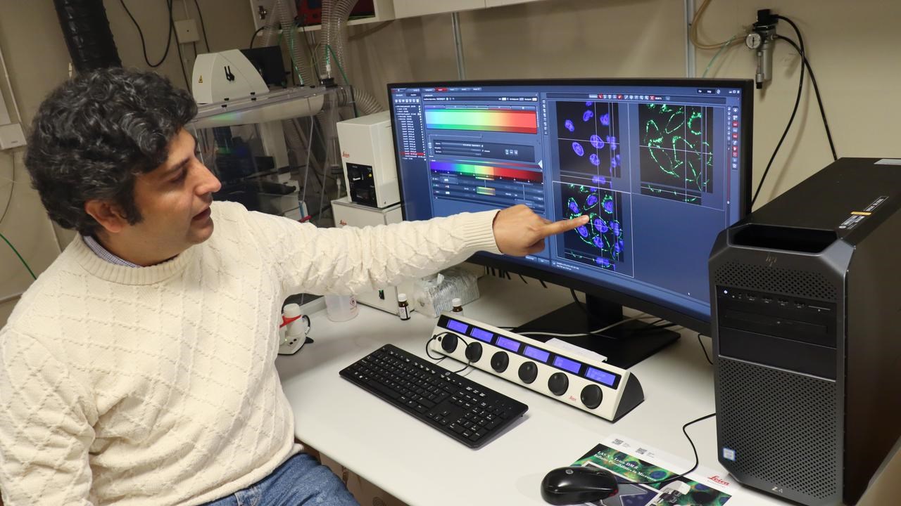 Aftab Nadeem, forskare p&aring; Institutionen f&ouml;r molekyl&auml;rbiologi vid Ume&aring; universitet, vid dator