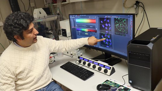 Aftab Nadeem, forskare på Institutionen för molekylärbiologi vid Umeå universitet, vid dator