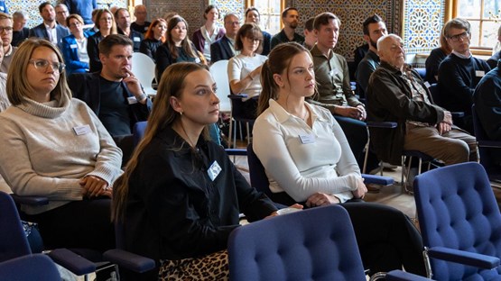 Föreläsning på Digital Impact North Summit