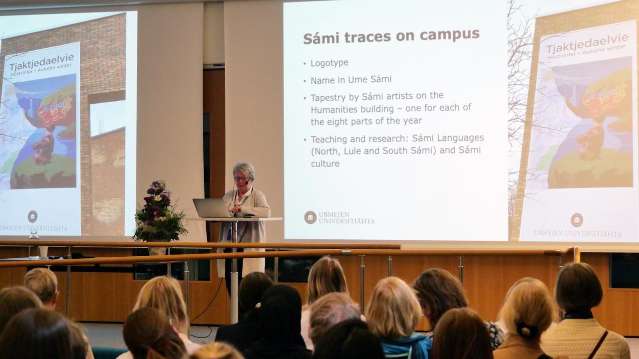 Ingela Valfridsson föreläser på scen