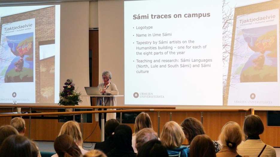 Ingela Valfridsson föreläser på scen
