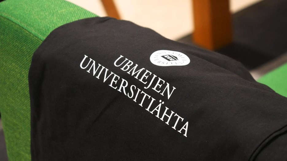 En svart tygpåse ligger mot en grön soffrygg