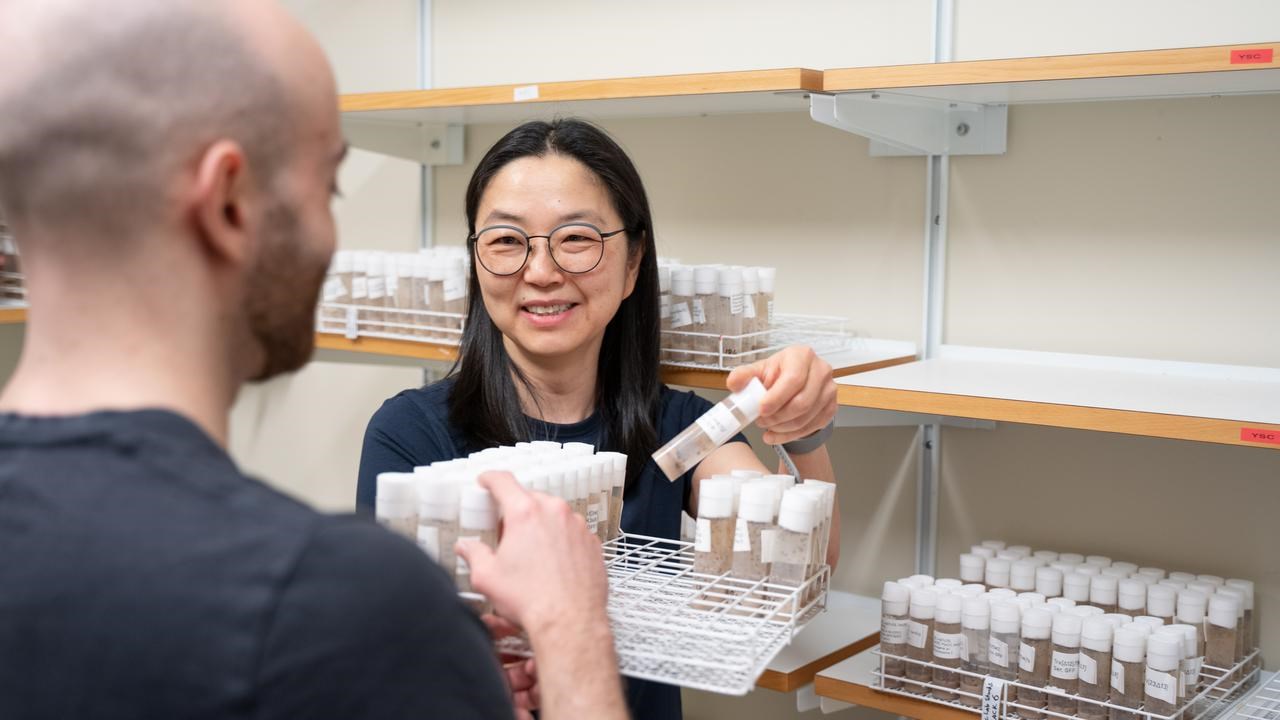 Tatyana Kahn i bananflugornas rum