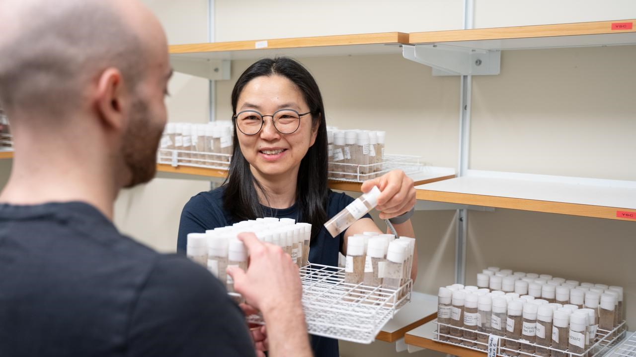 Tatyana Kahn i bananflugornas rum