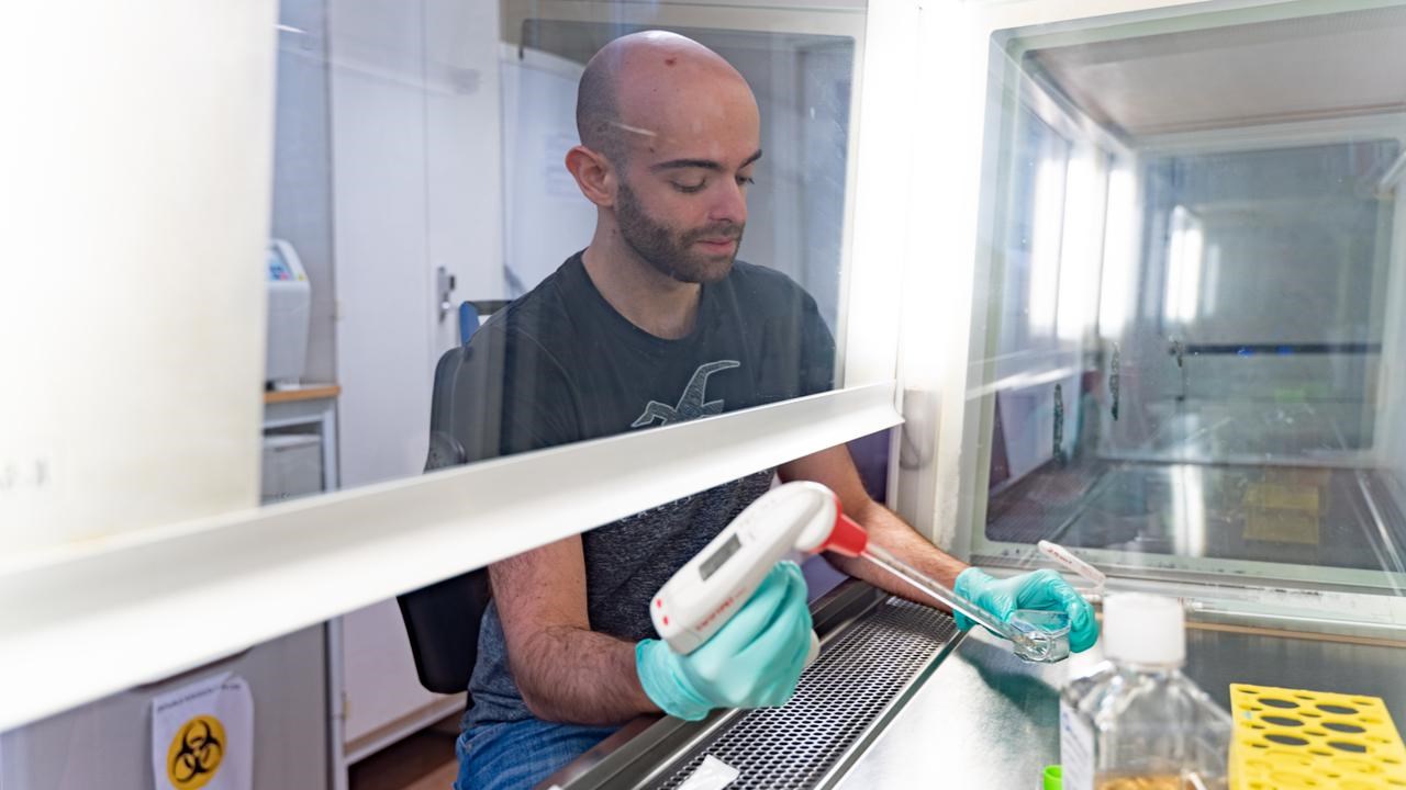 Andres Garrido Aparicio arbetar i dragsk&aring;pet