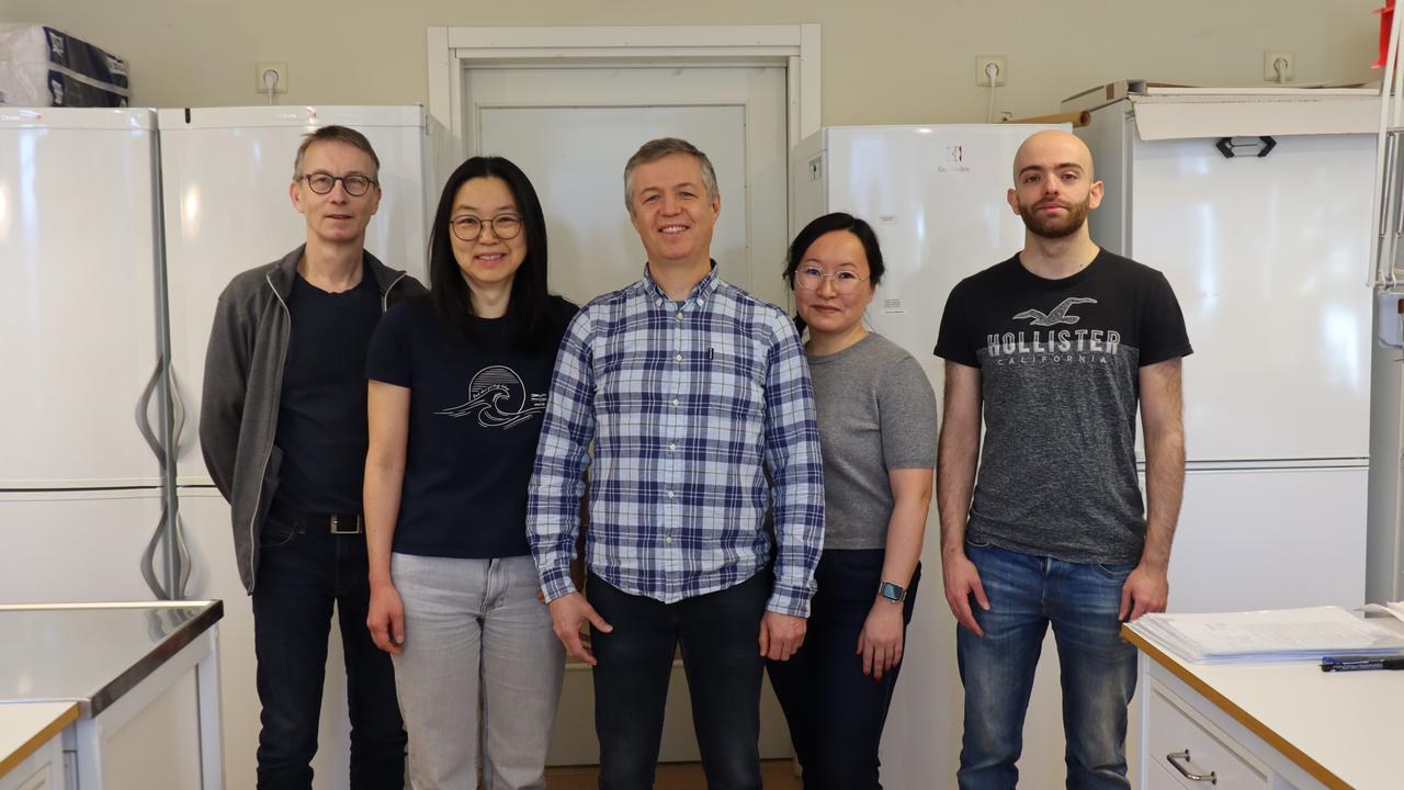 Gruppbild p&aring; fem forskare som arbetar med genetik p&aring; Instituionen f&ouml;r molekyl&auml;rbiologi