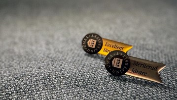 pedagogisk meritering pins