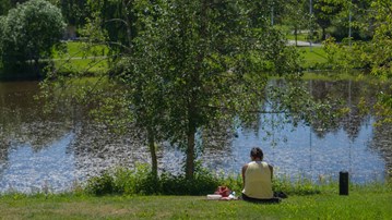 Umeå universitets campus vårbild