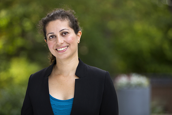 Nasim Sabouri, Umeå University