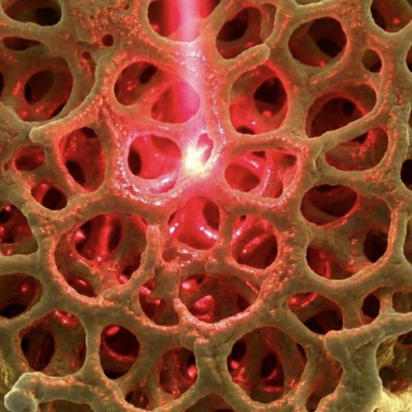 Illustration av en ihålig nätliknande struktur som belyses med ett rött laserljus