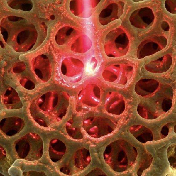 Illustration av en ihålig nätliknande struktur som belyses med ett rött laserljus